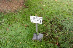 Knapsack_4_Russenfriedhof1