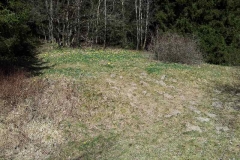 Narzissenwiesen in der Eifel..06